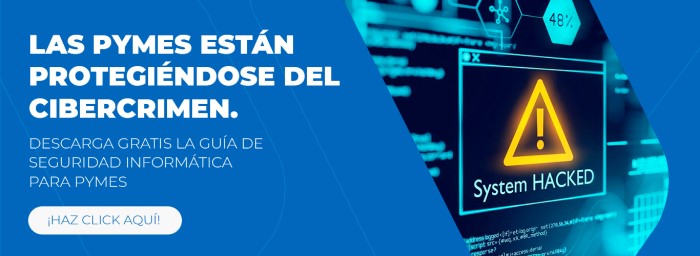 guia de ciberseguridad